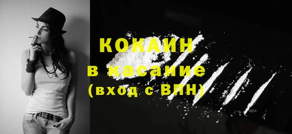 стаф Белоозёрский