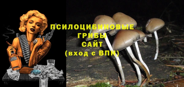 кристаллы Белокуриха