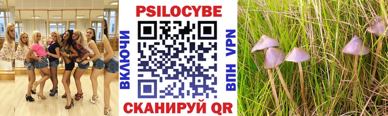 Псилоцибиновые грибы мухоморы  Купить закладки  Вуктыл 